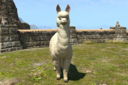 【FF14】タイミング良すぎ！？7.0でアルパカと触れ合ったヒカセンたちにスタバのアルパカグッズが大好評ｗｗｗｗｗｗ