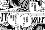 【ワンピース】3大勢力「四皇」「王下七武海」「海軍本部」←いうほどバランス取れてるか？？？？？？？？？？？？