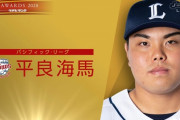 【速報】２０２０年新人王発表！セリーグは広島・森下暢仁、パリーグは西武・平良海馬！！