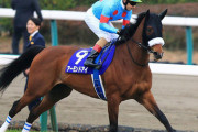 【宝塚記念も視野に？】アーモンドアイ　次走はルメール騎手とヴィクトリアマイルへ