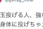Vtuber郡道美玲、WBC決勝中にとんでもない「不謹慎ツイート」をしてしまい大炎上・・