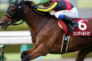 【JRA顕彰馬】プロはアーモンドアイよりジェンティルドンナが上と判断したんだよな？