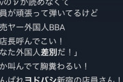 ヨドバシの転売対策に中国人「外国人差別だ！店長呼んでこい」  [9/11]