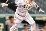 ２軍戦出場の阪神福留ナイターで代打、矢野監督感服