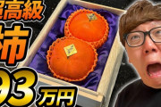 【悲報】HIKAKINさん、100万円の「柿」を購入