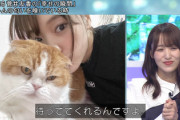 【櫻坂46】空気を読むゆっかーの愛猫トムwwww