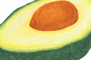 アボカド?「栄養満点です。すぐ腐ります。うまいです」←こいつが天下とれない理由