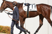 【動画】競馬、「オオタニサーン」という名前の馬が初出走！実況の発音がアレだった！