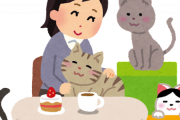 猫カフェ行ったんやが2度と行かんわ・・・
