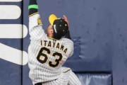 阪神・板山祐太郎が背走スライディングキャッチの美技