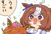 【ウマ娘】ドトウの胸はとにかくすごくすごい。