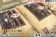 【悲報】新米価格、5キロ5000円台…もう日本人は米食うなってことだな
