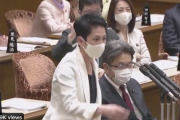 【悲報】立憲・蓮舫氏「麻生さんは（配布の布マスクを）何で付けないんですか？」「手上げ方式にすればよかったのでは？466億円ガー」（国会動画）