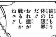 ワンピース・マルコさん、かませ犬だった