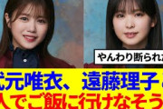 【櫻坂46】武元唯衣、遠藤理子と2人でご飯に行けなさそう…