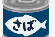 健康のために鯖缶食いたいけど部屋に匂いが付くので嫁に禁じられている