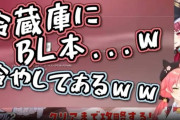 Vtuber 清掃員叩かれる→わかる 黙認ベース叩かれる→わかる 同人誌冷蔵庫叩かれる→マジでわからないｗｗｗｗ