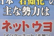 【悲報】ネトウヨキッズ（960人）、本物の弁護士に喧嘩を売り全員開示される