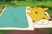 いっしょに寝たいポケモン！！！！！