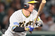 阪神近本、ＷＢＣ落選決定