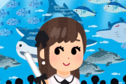 女の子って水族館好きなのに何でアクアリウムは好きじゃないの？