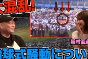 稲村亜美が中学生野球部の大群に囲まれた事件