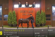 【セレクトセール2022】ラルケットの2022(父サートゥルナーリア)3億円で落札