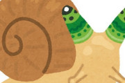 【超閲覧注意】寄生虫に寄生されたカタツムリがエグすぎる・・・