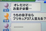 詐欺師「オレだけど、金が必要なんだ」母親「ふーん、ほなプリキュア37人言ってみぃ」