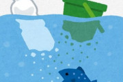 【環境】魚類は餌を通してマイクロプラスチックを大量に取り込んでいた 北大調査で判明  [すらいむ★]