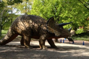 「絶滅した生き物」を一種だけ復活できるとしたらどれにする？