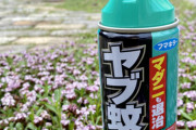 【夏キャンプ】虫よけにヤブ蚊バリアーがオススメ