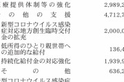 審議拒否で国会を止めてるのは特定野党だろ！　～　外来種蓮舫「#国会とめるな 10兆円！消費税4%分！防衛予算2年分！安倍政権に白紙委任！延長しろ！」