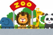 【ほのぼの痛い話】動物園のふれあいコーナーに子供を連れて行ったらヤギが寄ってきて子供は大喜び。しかしその間ずっとヤギに足を踏まれ続け、帰宅して足を確認すると…