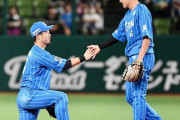 お前らがプロ野球を見始めた頃の西武の二遊間