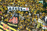 阪神って球場のファンさえ改善されれば最高の球団だよな