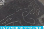 新たに発見された”ナスカの地上絵”、酷い