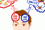 【ダイエット】本物の食欲と偽物の食欲の区別がつかない！