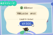 【あつ森】DIYのマイレージは開発が実際に達成したのか？難易度が…【どうぶつの森 まとめ】