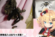 【画像】人気VTuber、タランチュラをラーメンに入れて食してしまうｗｗｗｗｗｗｗ
