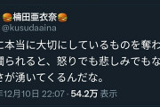 【ラブライブ板の反応】スノハレを歌った配信者を袋叩きにしたラブライバー達の親玉らしいツイートで良いと思う