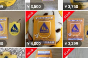 【悲報】ピカチュウのせいで子供の「保険」を売り飛ばす転売ヤー、現れるｗｗｗｗ