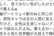 フェミさん「SHIROBAKOというアニメ、男はリアル調なのに女は美少女ばかりで気持ち悪い」
