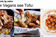 【画像】ヴィーガンと一般人とで「豆腐」の見え方が全然違うと話題にｗｗｗｗｗｗｗｗｗｗｗ