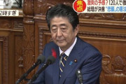 【改憲】安倍総理「日本、100年前に植民地主義に怯まず人種平等掲げた」⇒ 韓国紙「植民地支配の歴史を美化！」