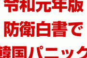 令和元年版の防衛白書で韓国パニック！　「竹島上空に戦闘機を出動できる。自国領だから当然」　韓国終わったな…