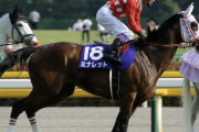【悲報】すまん、例えば競馬で100万勝ったとしてすぐ100万賭けて負けても勝った分の税金払わなきゃいけないの？・・・・