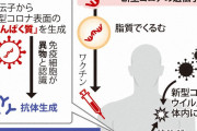 コロナワクチンを受けた人は感染源を体内に多く持つことが判明❗❓