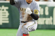 阪神・中川が歓喜のプロ初安打！第3打席で三塁強襲安打　記念球は先輩たちがベンチへ回収