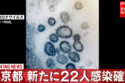 【速報】東京コロナ +22以上…ヤバくね…？